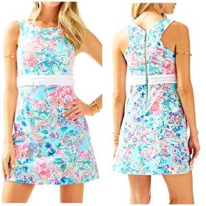 NWOT Lilly Pulitzer Arden Shift Dress Gypsea Large
